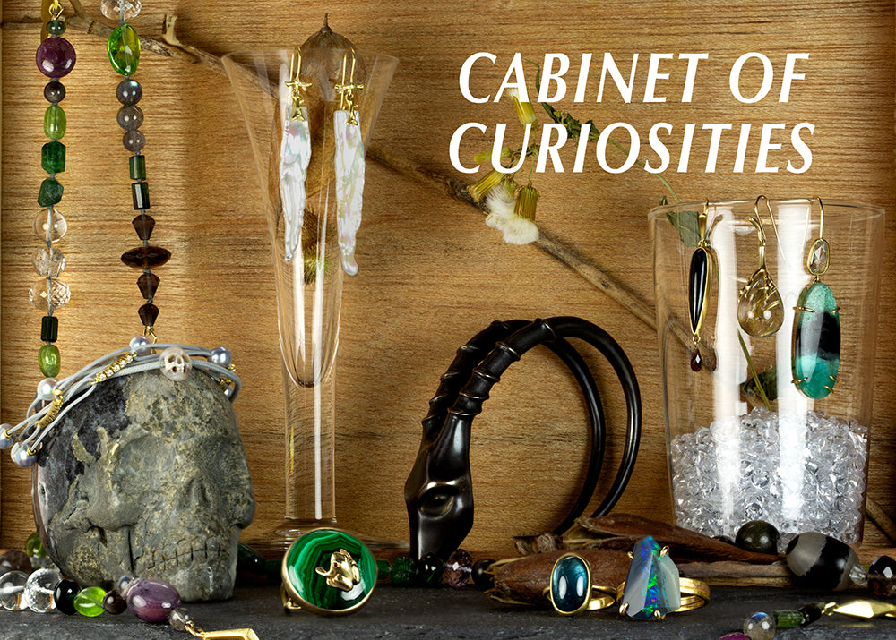 💀🪲Cabinet of Curiosities 👁️🪬