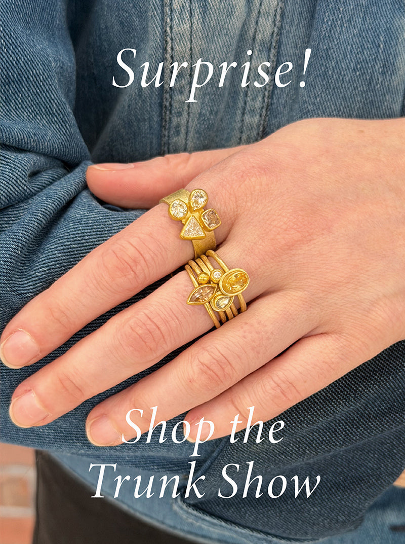 Surprise! Shop the Petra Class Trunk Show - Online!