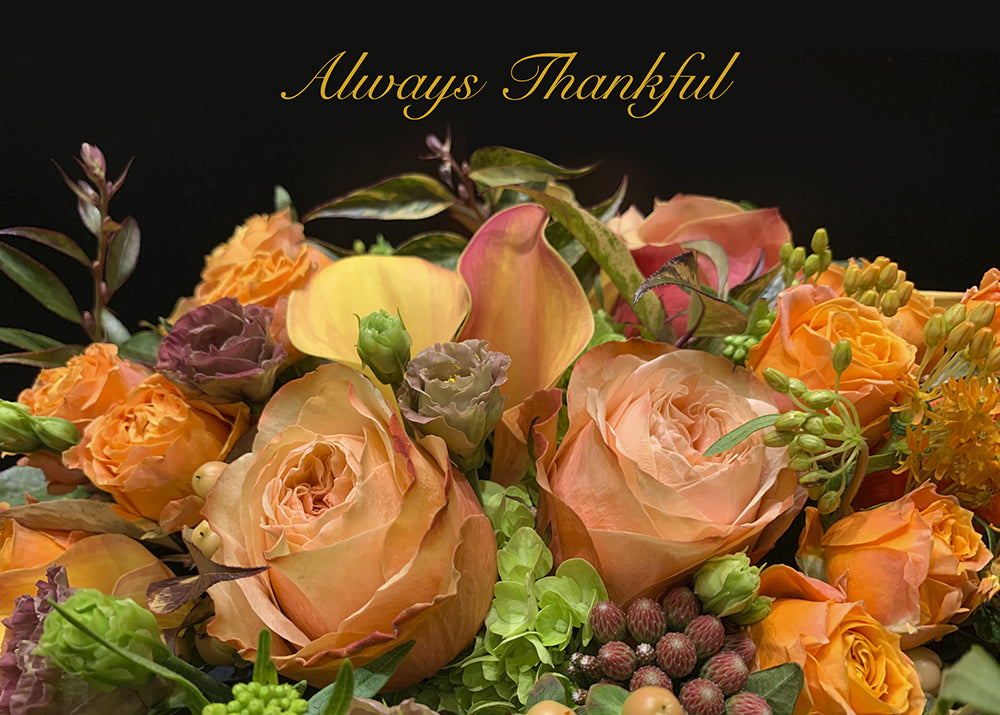 Happy Thanksgiving!