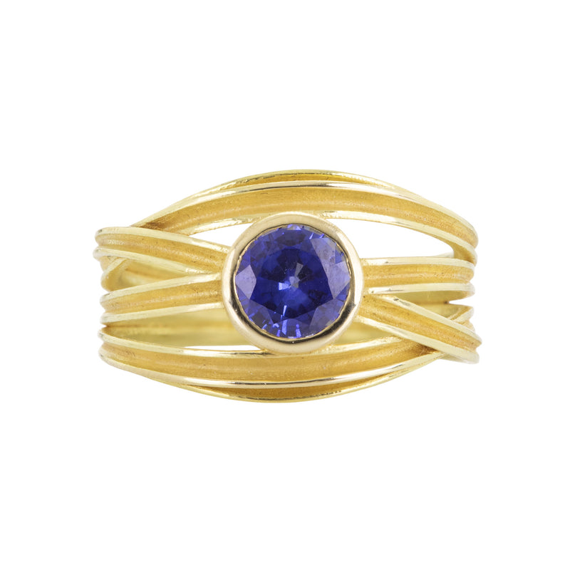 Barbara Heinrich 18k Blue Sapphire Ribbon Ring | Quadrum Gallery