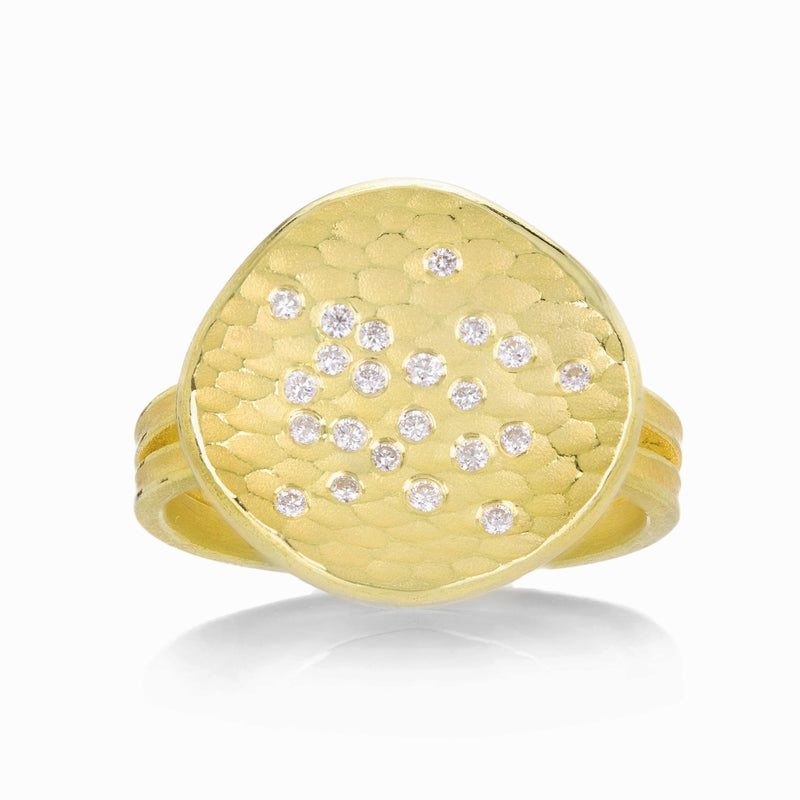 Barbara Heinrich Carved Glacier Disc Ring | Quadrum Gallery