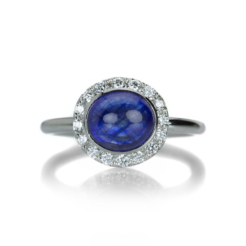 Edward Burrowes Platinum Blue Sapphire Ring with Diamonds | Quadrum Gallery