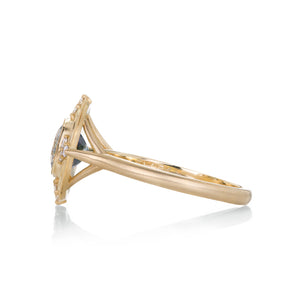 Erika Winters Montana Sapphire Thea Ring | Quadrum Gallery