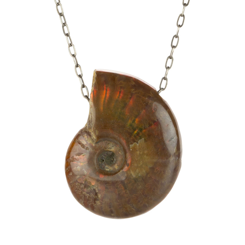 Joseph Brooks Fossil Ammonite Pendant Necklace | Quadrum Gallery