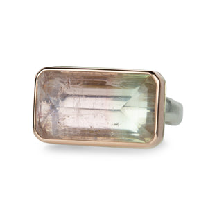 Jamie Joseph Rectangular Bicolor Tourmaline Ring | Quadrum Gallery
