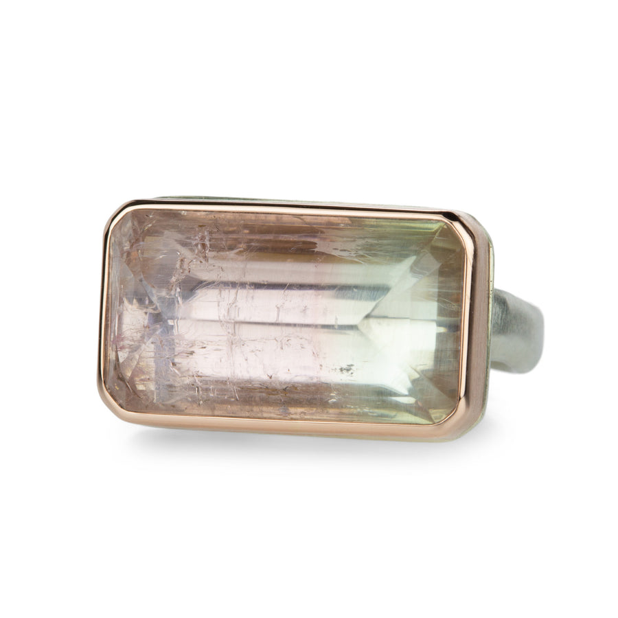 Jamie Joseph Rectangular Bicolor Tourmaline Ring | Quadrum Gallery