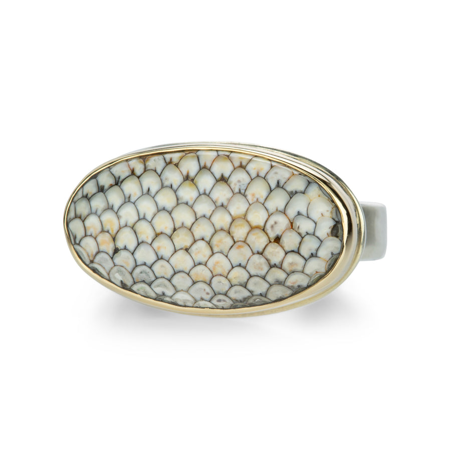 Jamie Joseph Oval Snakeskin Agate Ring | Quadrum Gallery