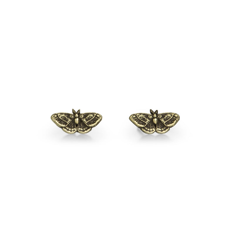 Pyrrha 14k Moth Studs | Quadrum Gallery