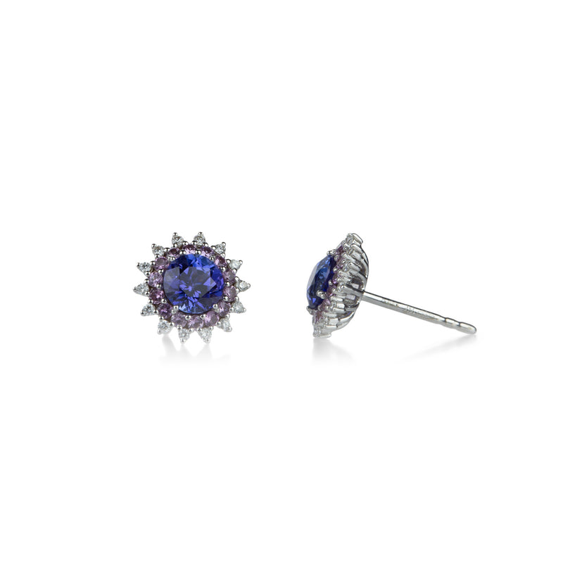 Paul Morelli Tanzanite and Pink Sapphire Studs | Quadrum Gallery