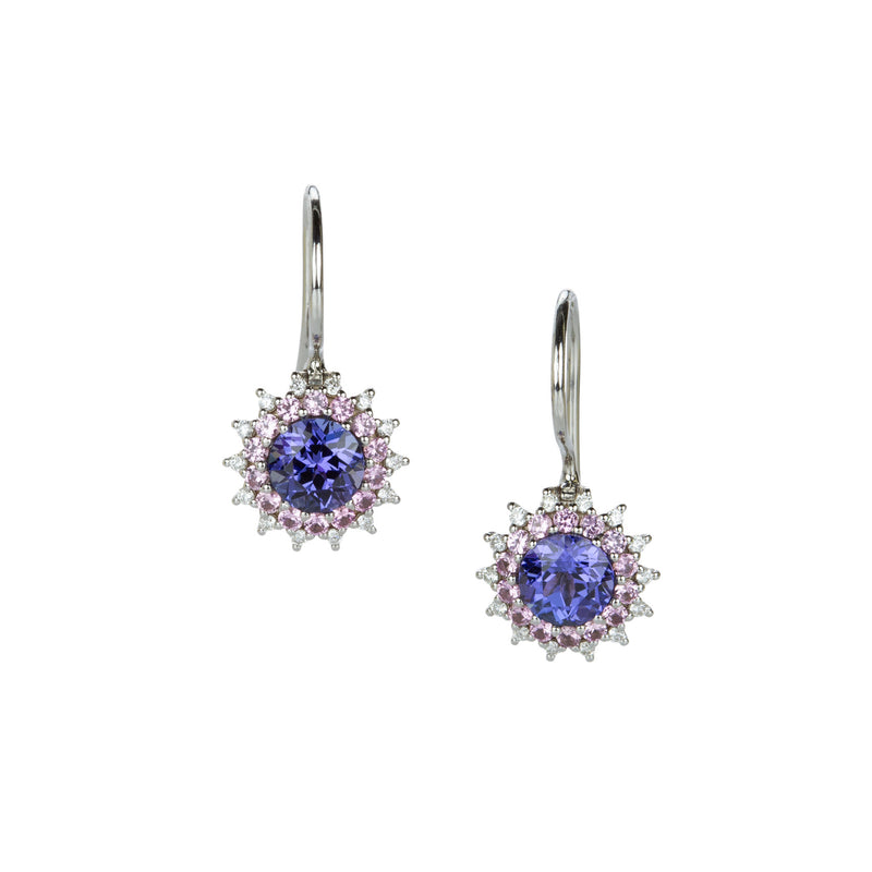 Paul Morelli Tanzanite and Pink Sapphire Drop Earrings | Quadrum Gallery