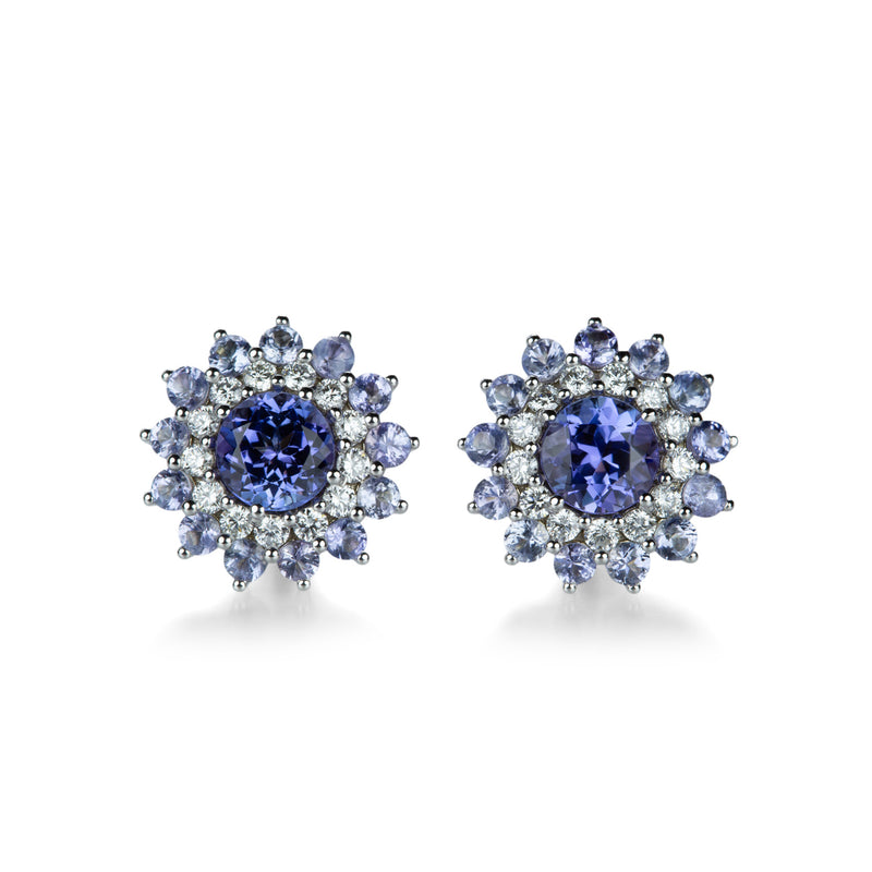 Paul Morelli 18k White Gold Tanzanite Pinpoint Studs | Quadrum Gallery