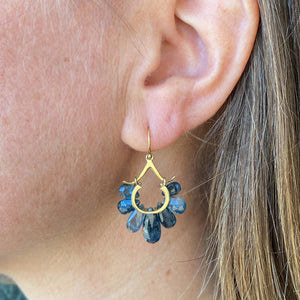 Rachel Atherley 14k Peacock Earrings with Kyanite | Quadrum Gallery