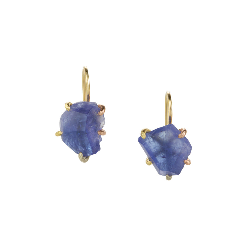 Variance Tanzanite Hook Earrings | Quadrum Gallery