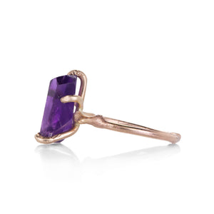 Variance Amethyst and Gold Embedded Ring | Quadrum Gallery