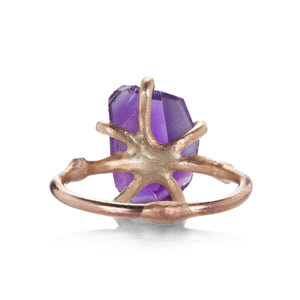 Variance Amethyst and Gold Embedded Ring | Quadrum Gallery