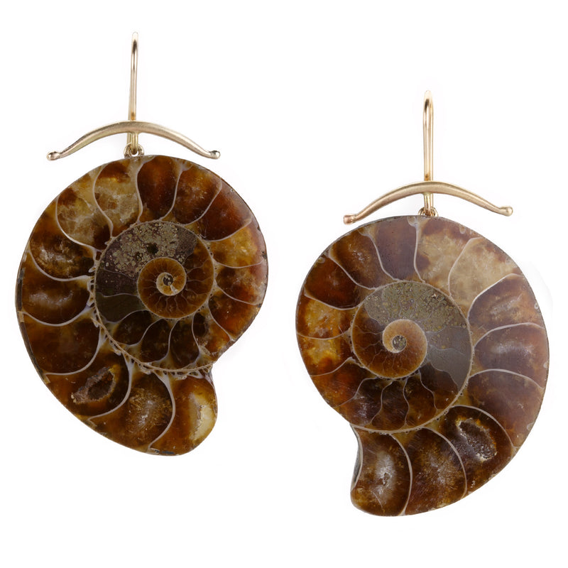 Gabriella Kiss Large Polished Ammonite Earrings | Quadrum Gallery