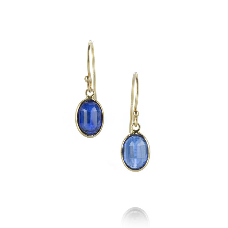 Margaret Solow Kyanite Drop Earrings | Quadrum Gallery