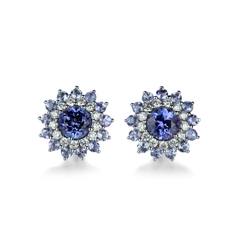 Paul Morelli Tanzanite Pinpoint Studs | Quadrum Gallery