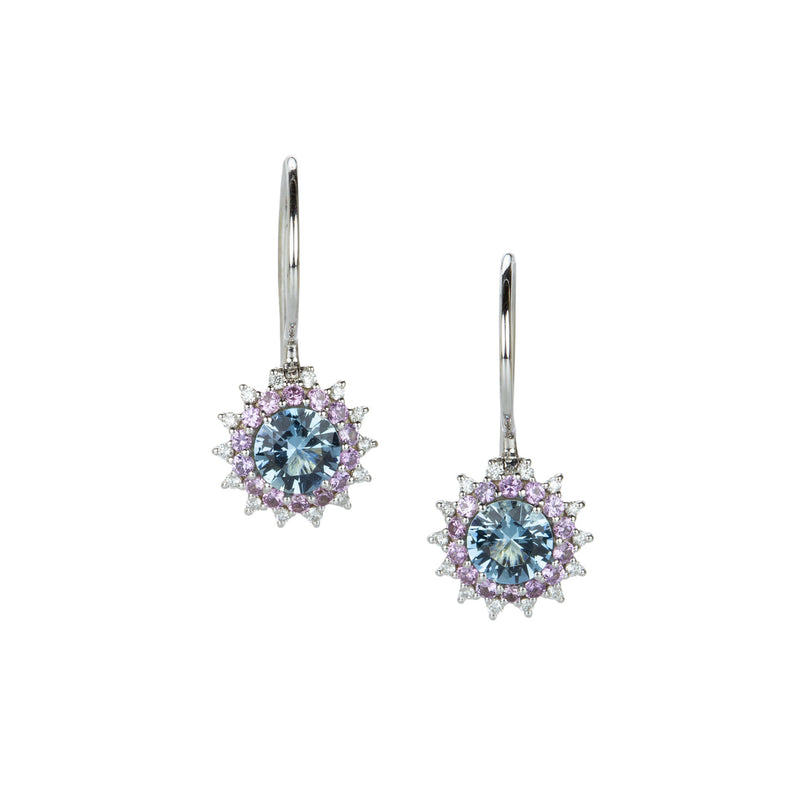 Paul Morelli Aquamarine and Purple Sapphire Drop Earrings | Quadrum Gallery