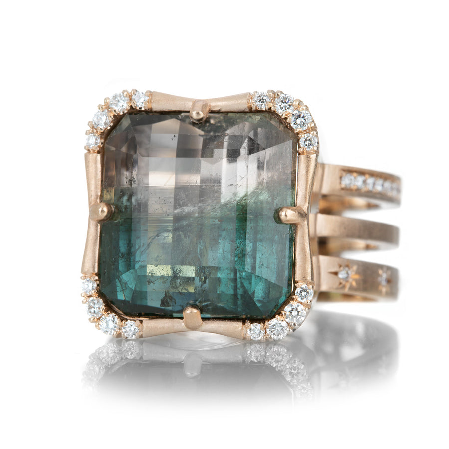 Sirciam Bicolor Tourmaline Effigy Ring | Quadrum Gallery